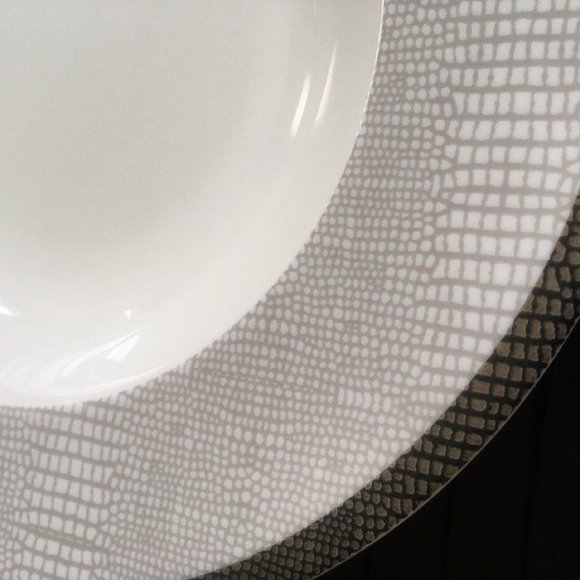 brand new Mikasa Wild Croc Pattern 15" x 13" Porcelain Oval Serving Platter - Picture 5 of 12